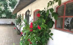 Gemuetliches Reetdachhaus Mit Kaminofen