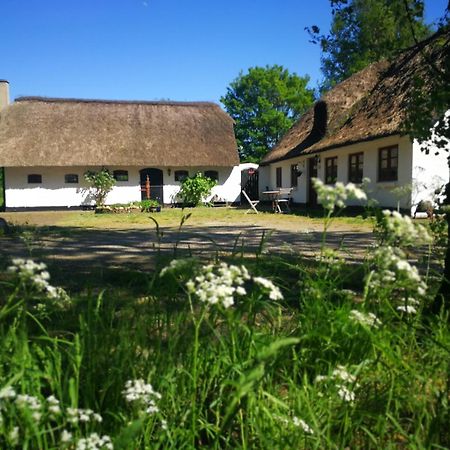 Hostel Gemuetliches Reetdachhaus Mit Kaminofen Ribe Exterior foto