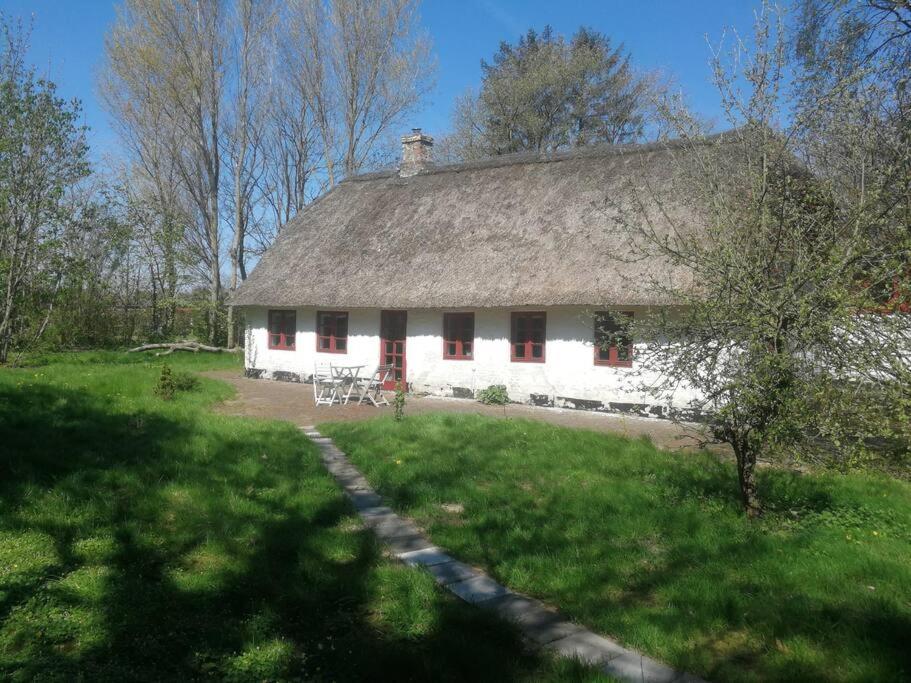 Hostel Gemuetliches Reetdachhaus Mit Kaminofen Ribe Exterior foto