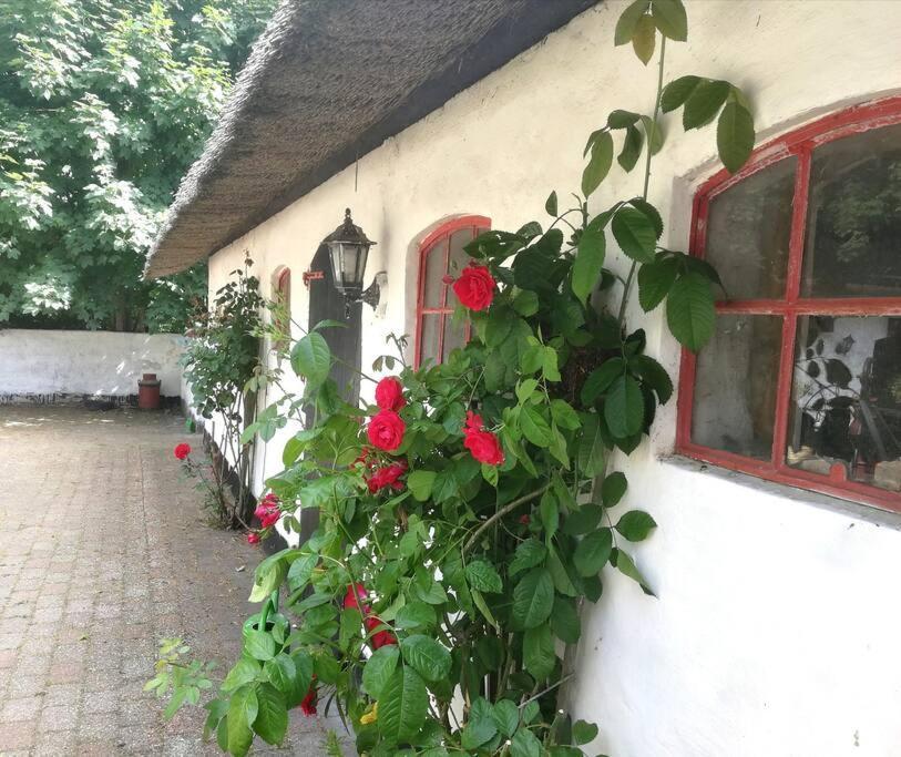 Hostel Gemuetliches Reetdachhaus Mit Kaminofen Ribe Exterior foto
