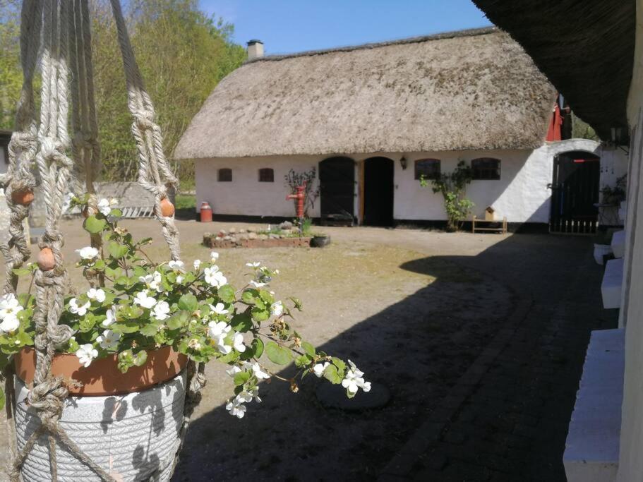 Hostel Gemuetliches Reetdachhaus Mit Kaminofen Ribe Exterior foto